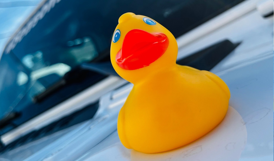 Duck, duck … Jeep? The reason why Jeep drivers put rubber ducks on