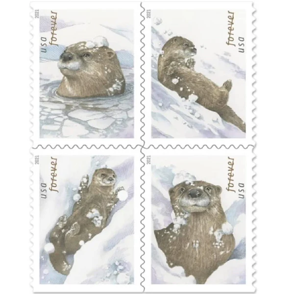 OttersinSnow2021_1.webp